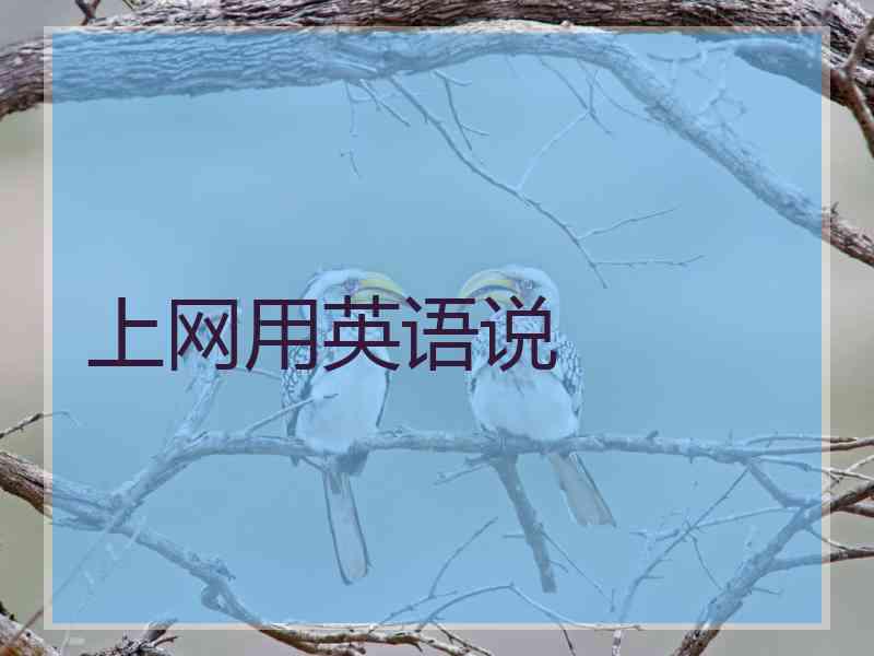 上网用英语说