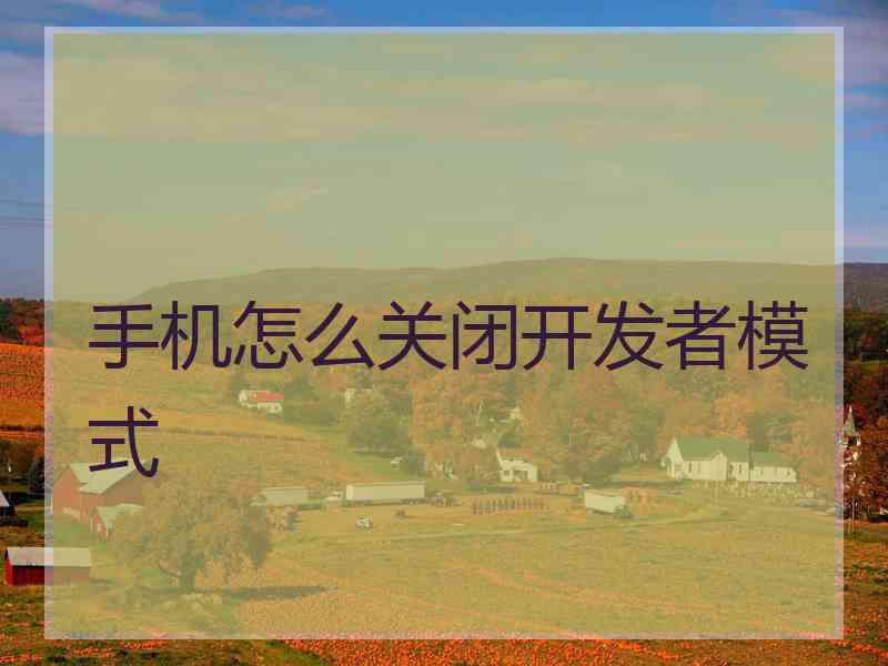 手机怎么关闭开发者模式