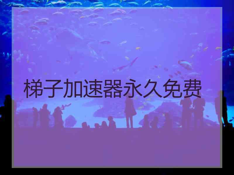 梯子加速器永久免费