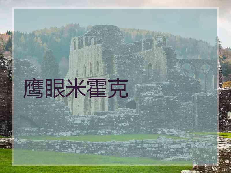 鹰眼米霍克