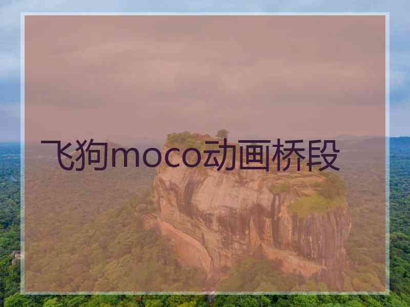 飞狗moco动画桥段