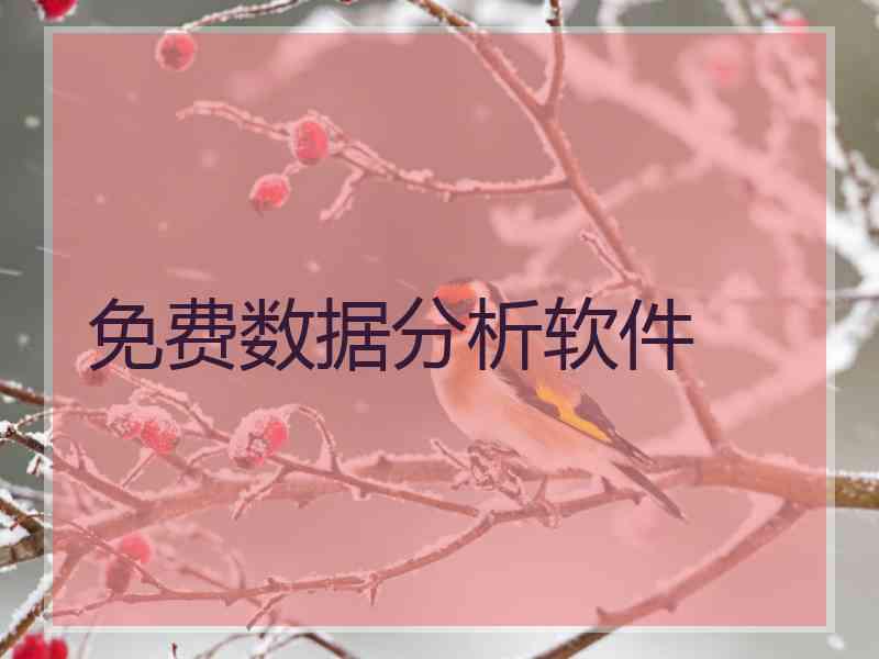 免费数据分析软件