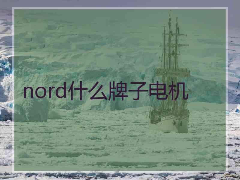 nord什么牌子电机