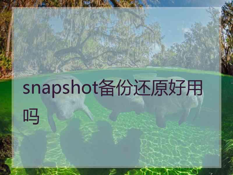 snapshot备份还原好用吗